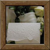 innersprings_camellia